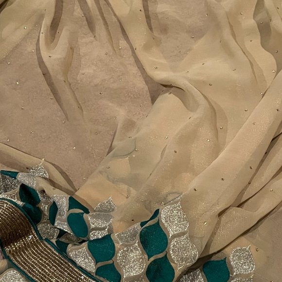 Pure Geogette embroidered designer Rangoli sequin saree - Picture 5 of 12